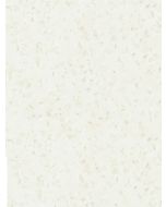 Cubierta de Superficie Sólida Everform™, color 748 White Renew, 0.76 X 3.75 m