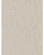 Cubierta de Superficie Sólida Everform™, color 608 Limed Concrete, 0.76 X 3.66 m