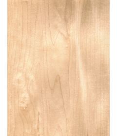 Chapa natural de MAPLE