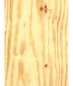 Chapa natural de PINO AMERICANO quarter